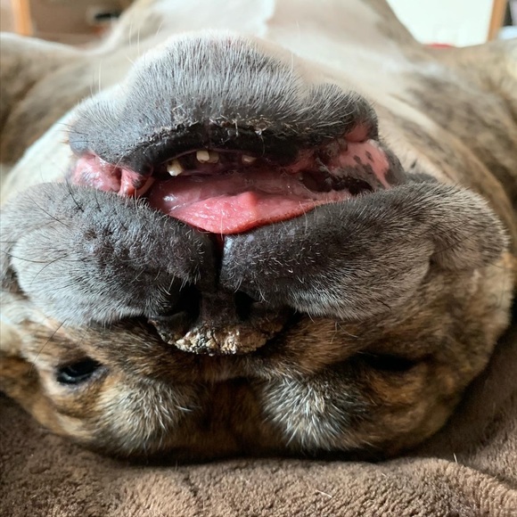 Meet your Posher, Mandy - Picture 1 of 6